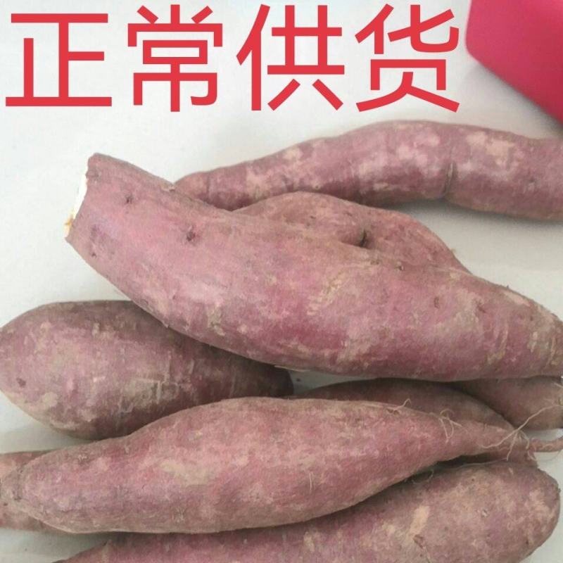 济薯26济26地瓜产地直销，品质保证，板栗薯，可正常供货
