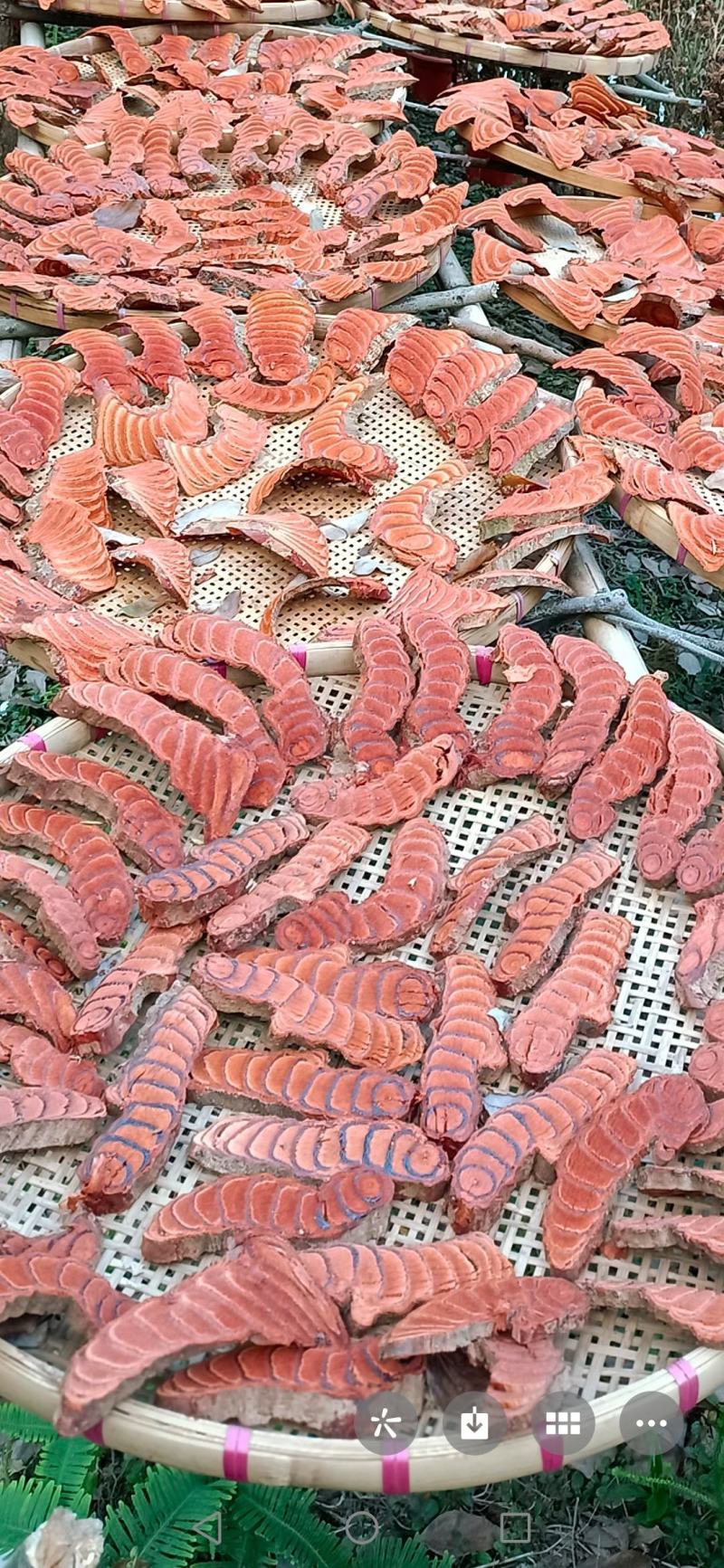 【低价出售】野生鸡血藤产地直供纯野生保质保量