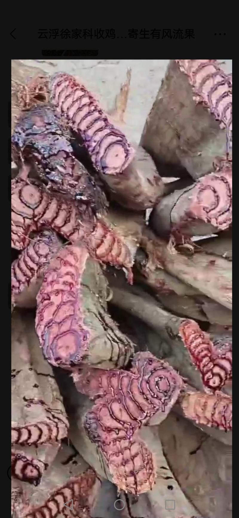 【低价出售】野生鸡血藤产地直供纯野生保质保量