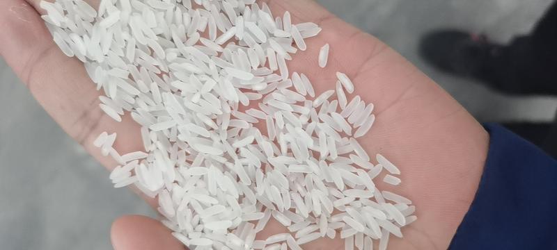 安徽省六安市霍邱县当年绿色食品认证长粒香大米大量批发销售