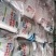 中量元素水溶肥中量元素肥料微量元素肥料中微动力