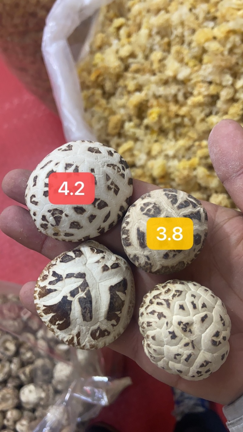 河南泌阳花菇天白花菇白花菇2022新货