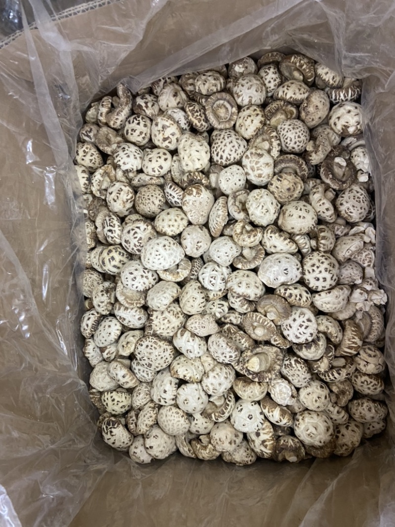 河南泌阳花菇天白花菇白花菇2022新货