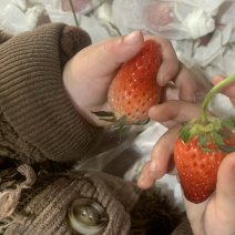 套带免洗小果草莓🍓