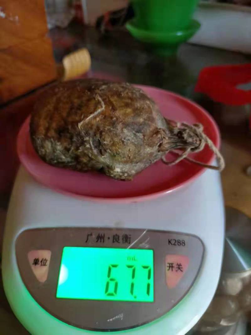 猪宝，药材