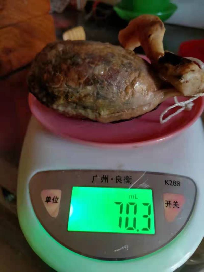 猪宝，药材