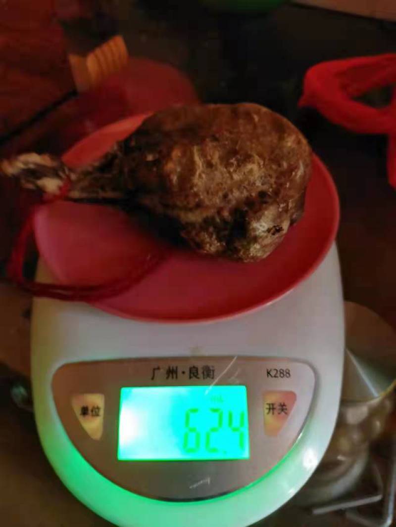 猪宝，药材