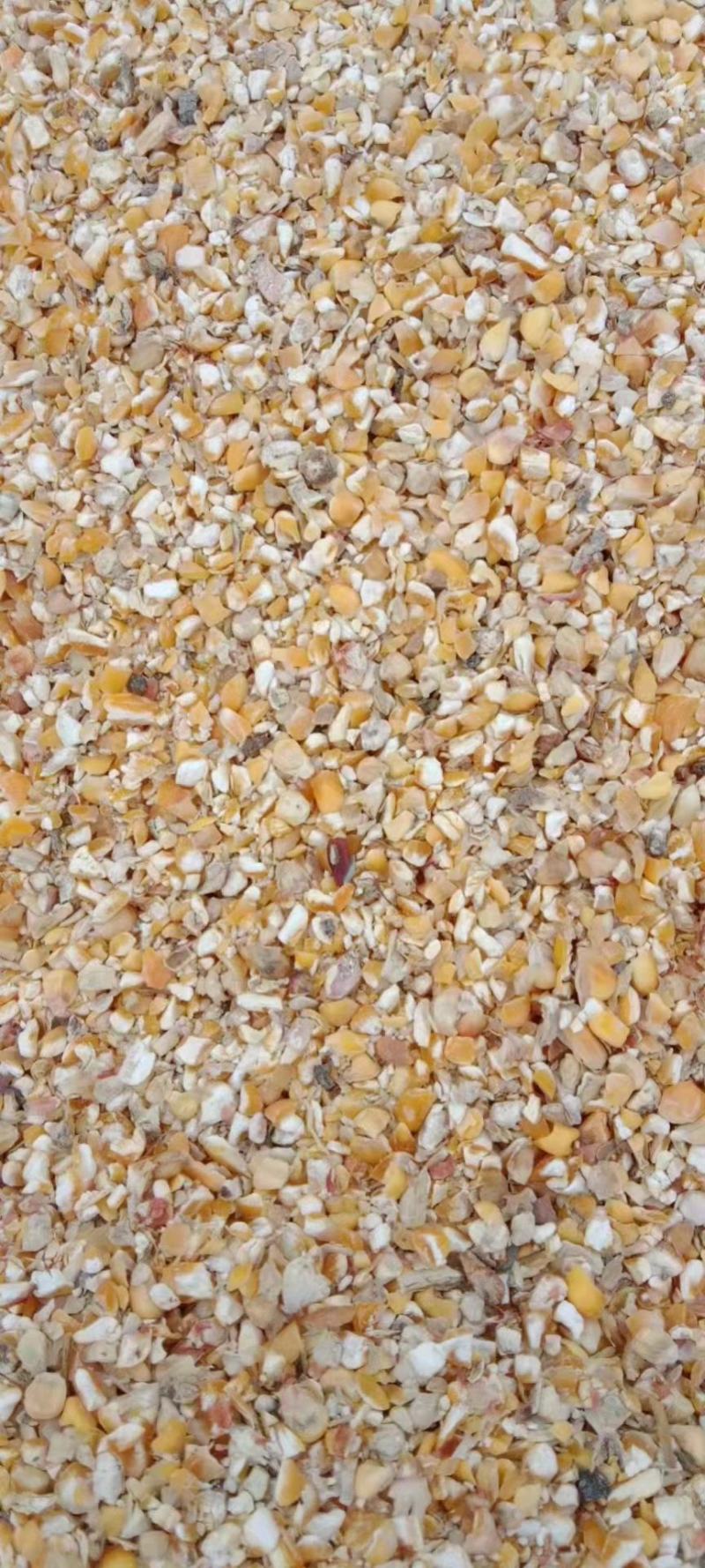 碎玉米常年出售碎玉米，碎小麦，鸡鸭鹅猪牛羊专用饲料，