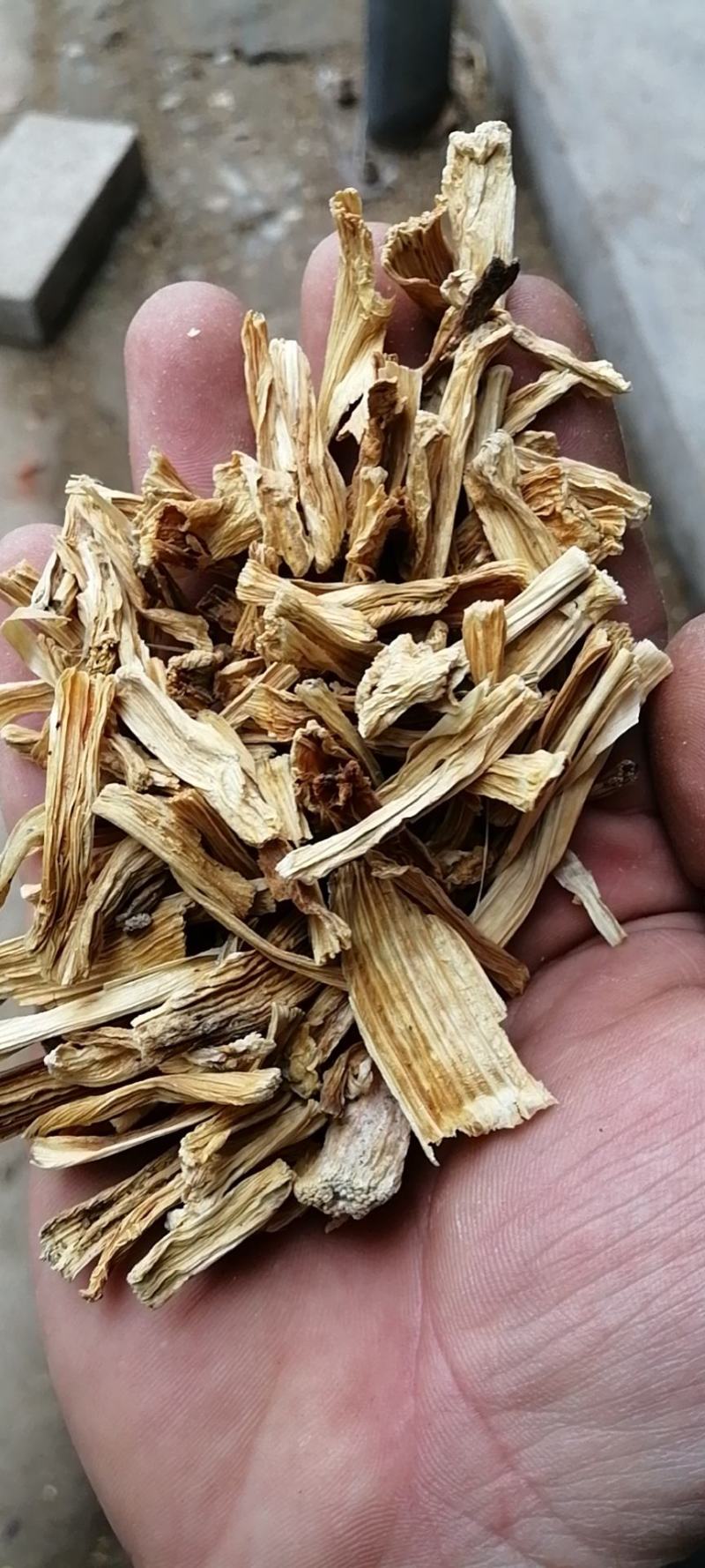 石刁柏芦笋干石刁柏干老根石刁柏龙须草包邮