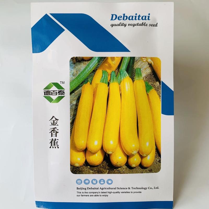 金香蕉西葫芦种子金黄色西葫芦种籽短蔓矮生型杂交种子