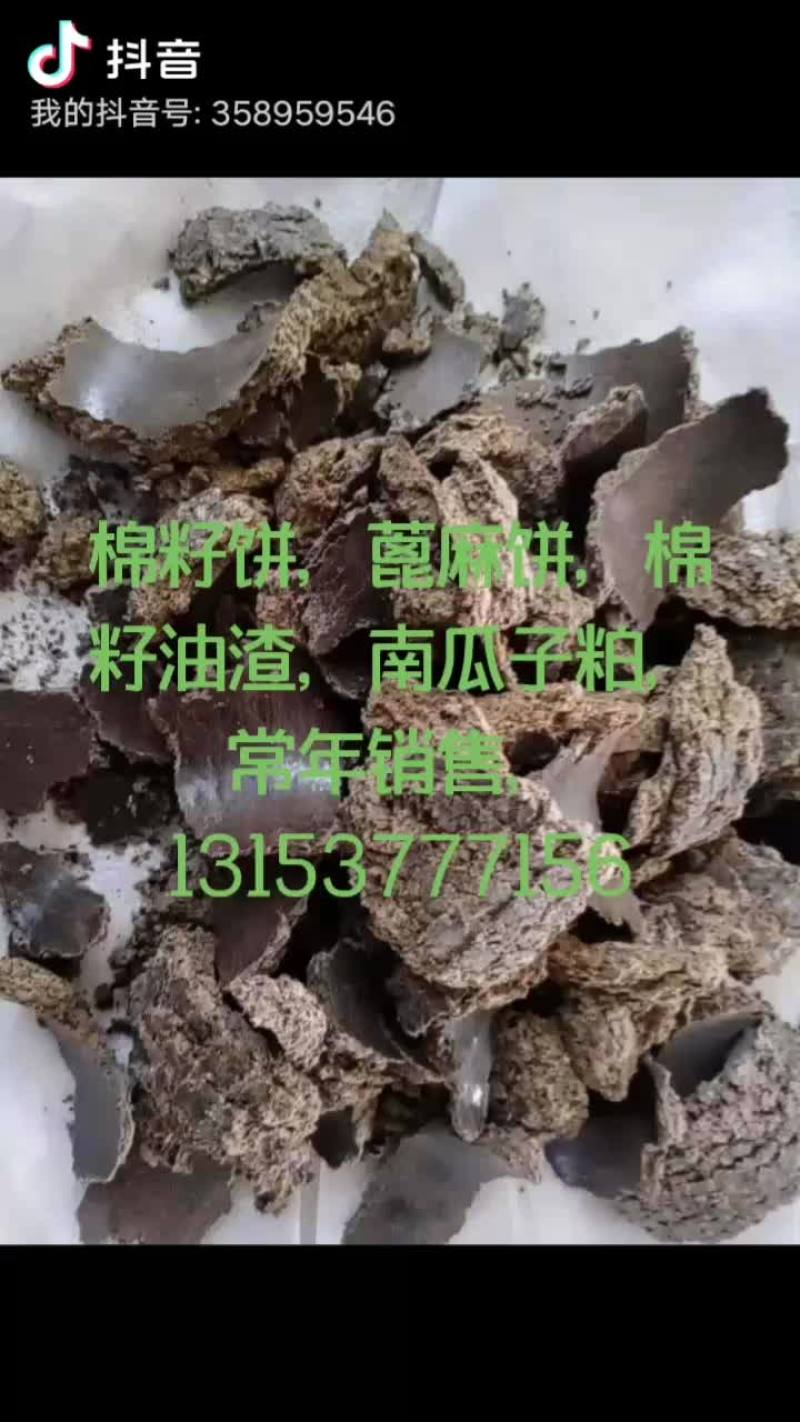 油茶粕专杀地下虫，虫卵，后期缓解土壤肥效好。