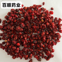 五味子新鲜干货高质量大货批发颜色好看地道药材