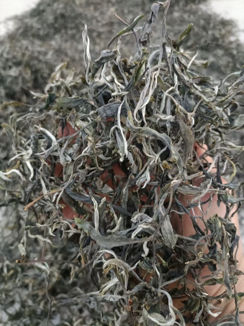 普洱茶