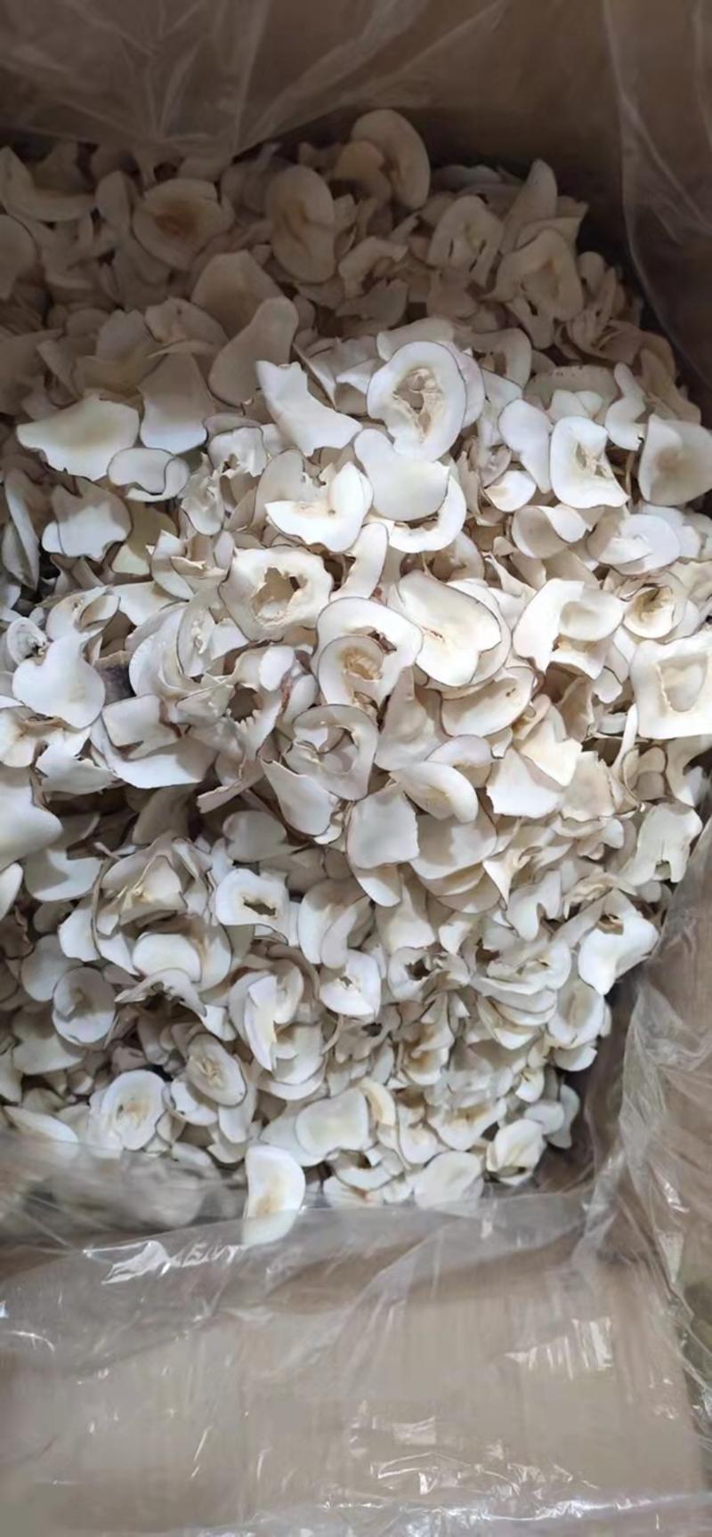 泰国海底椰片一手货源，货美价优，量大优惠
