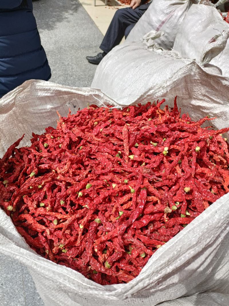 新疆干红辣椒