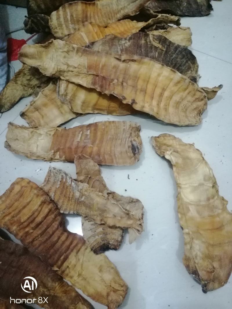 笋干