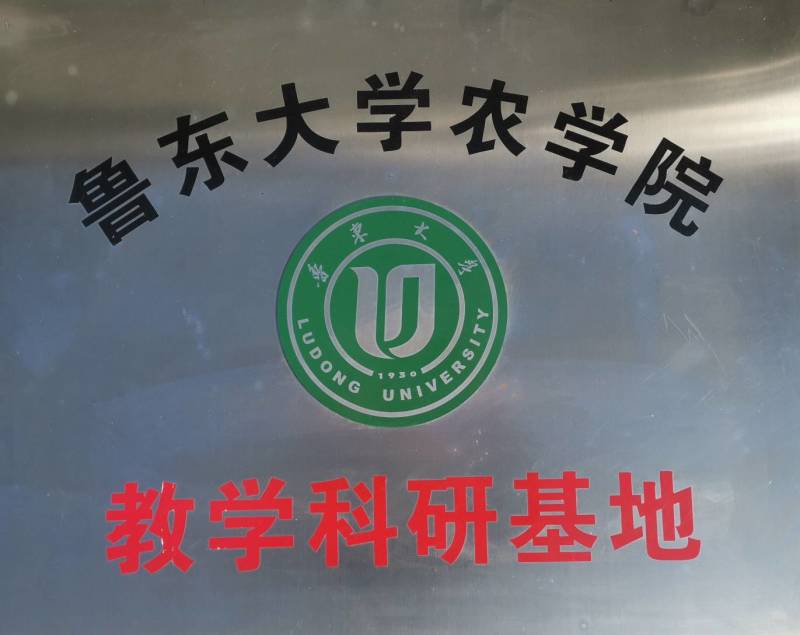 羊肚菌菌种营养袋全包，技术指导，收购商对接，无后顾之忧