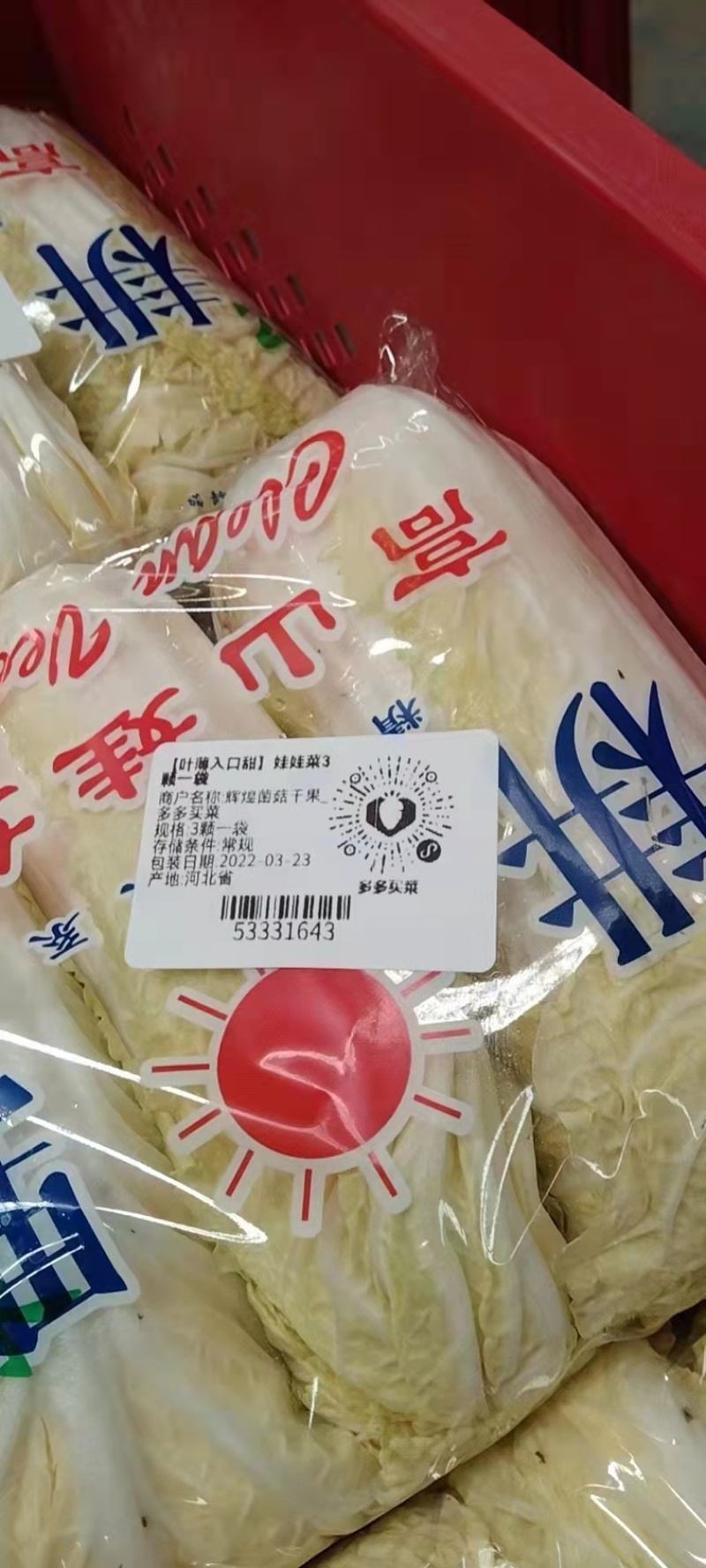 河北邯郸精品小白菜，口感好，耐保存，量大从优哈