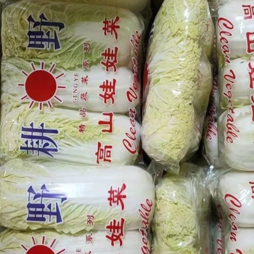 河北邯郸精品小白菜，口感好，耐保存，量大从优哈