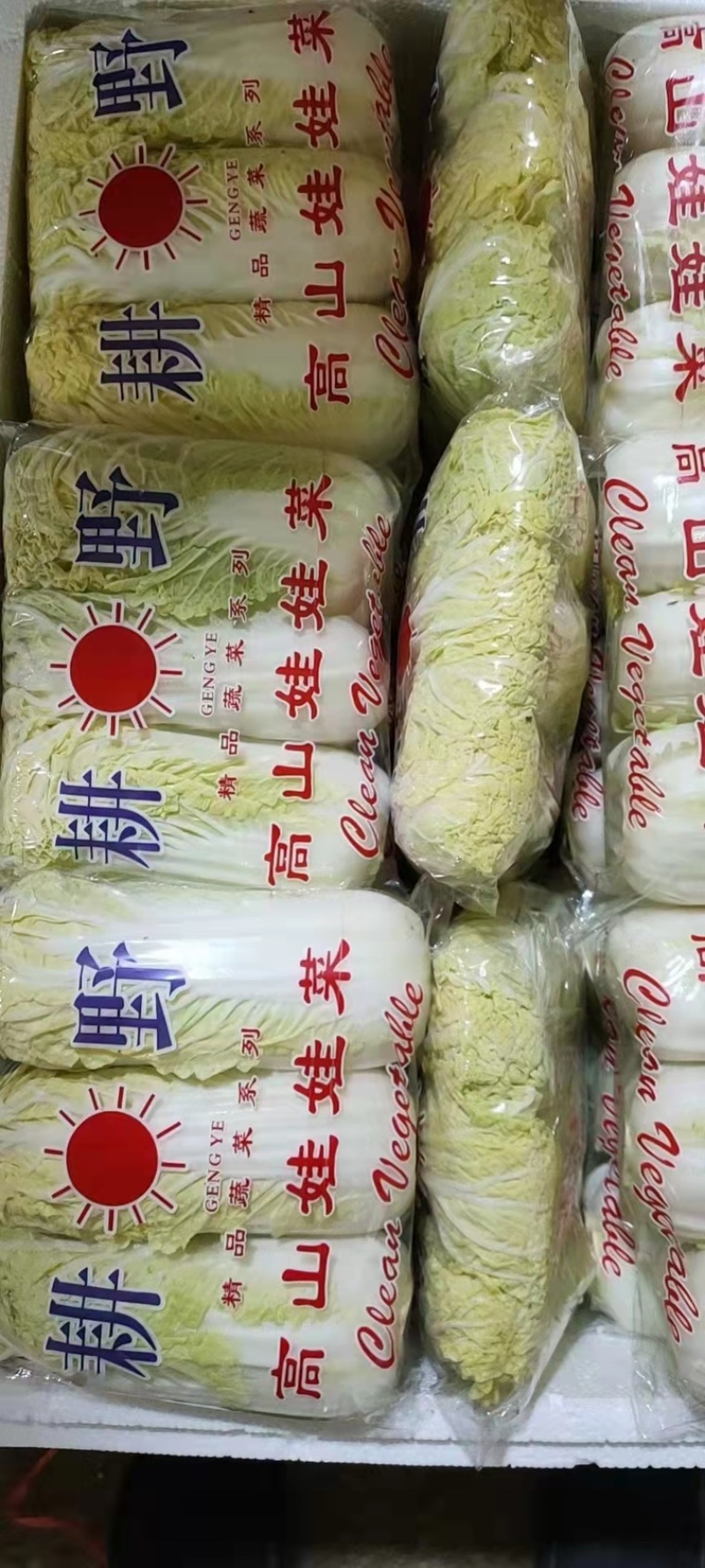 河北邯郸精品小白菜，口感好，耐保存，量大从优哈