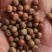 麻豌豆，大量批发麻豌豆，白豌豆，青豌豆，