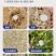全自动青储打包机养殖青牧打捆包膜机饲料储存打包机厂家