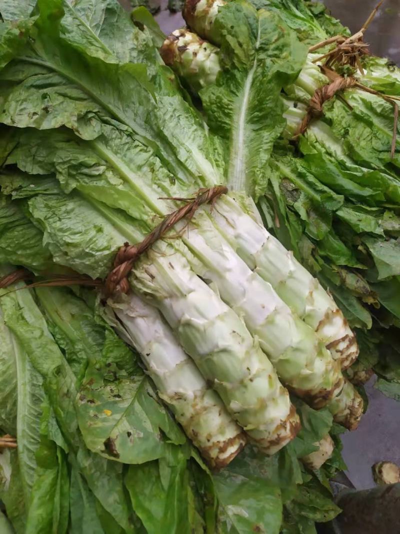城固青笋单颗一到三斤，皮薄肉多，产地直销