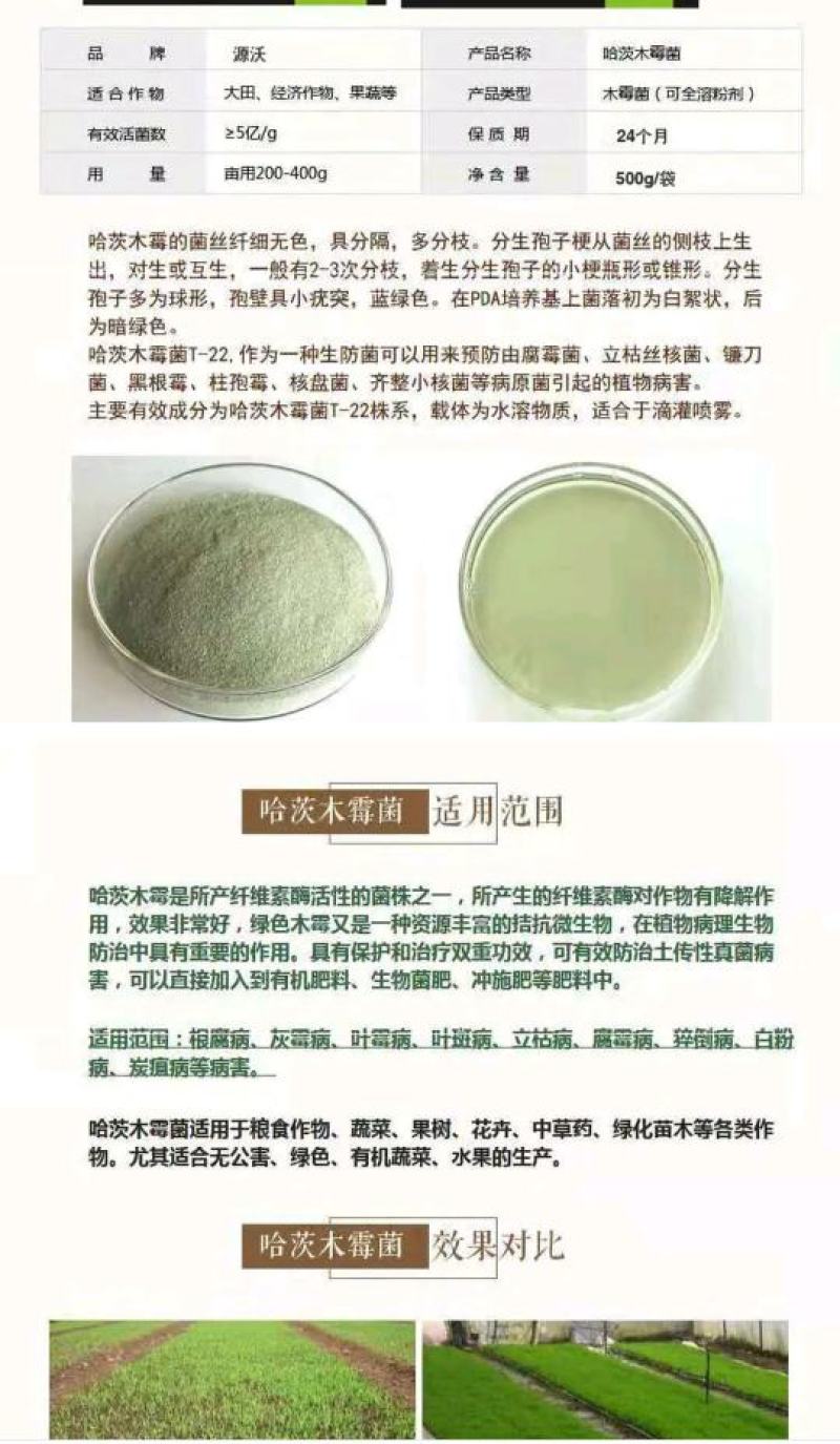 哈茨木霉菌防死棵抗烂苗抗后期枯萎消除真菌病