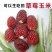草莓水果玉米种子种籽四季种植农家玉米蔬菜种籽