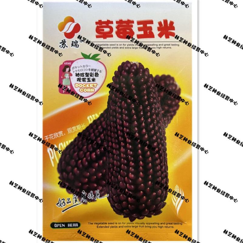 草莓水果玉米种子种籽四季种植农家玉米蔬菜种籽