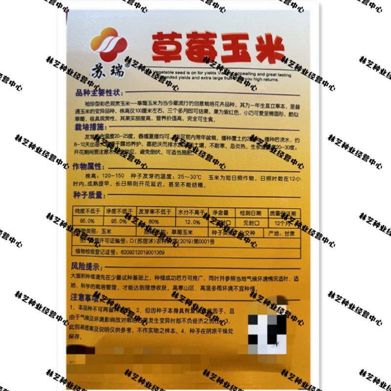 草莓水果玉米种子种籽四季种植农家玉米蔬菜种籽