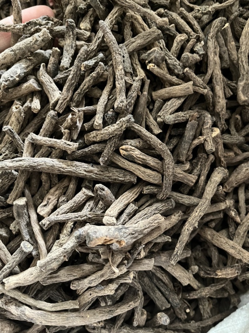【文斌药业】仙茅。仙茅质优价廉过筛货实图拍摄