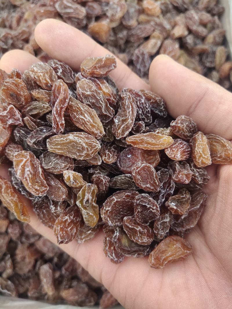 奶油葡萄干大颗粒饱满干度挺好干净颜色漂亮