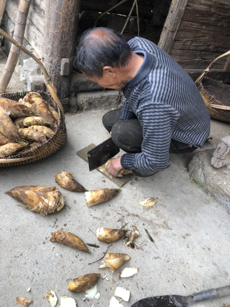 【精品春笋】湖南楠竹春笋，高海拔地区优质货源，品好价优