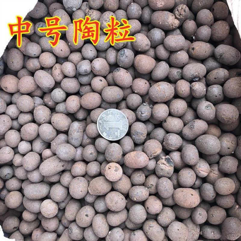 陶粒养花铺面陶粒球垫底园艺疏水透气营养土多肉颗粒土陶粒