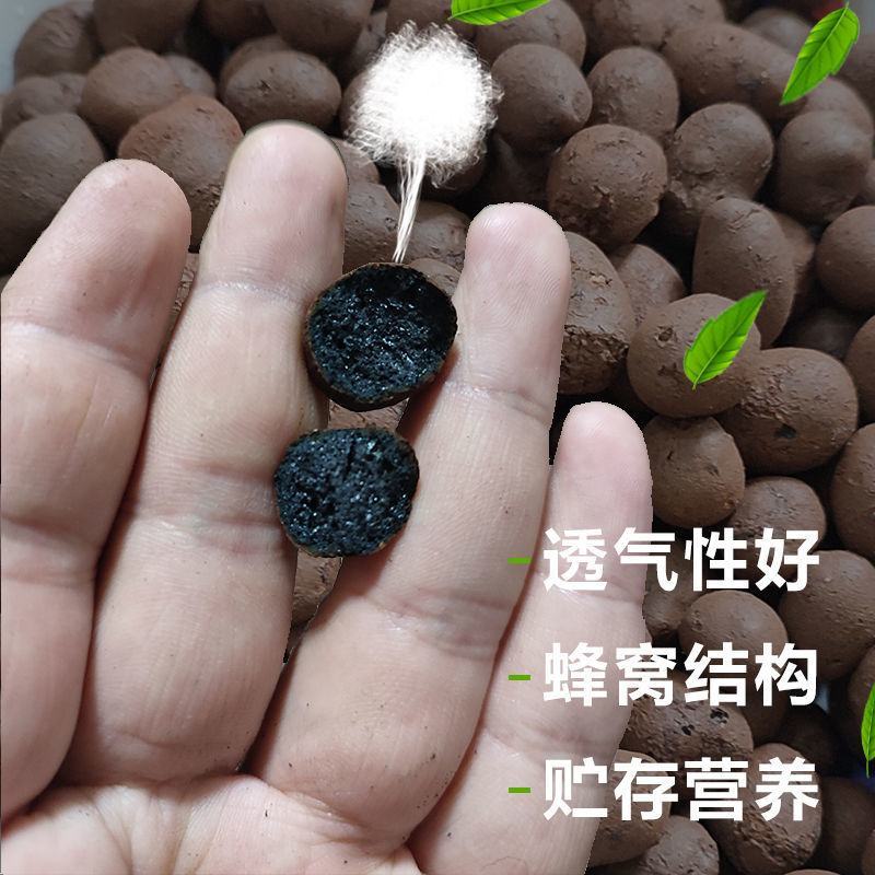 陶粒养花铺面陶粒球垫底园艺疏水透气营养土多肉颗粒土陶粒