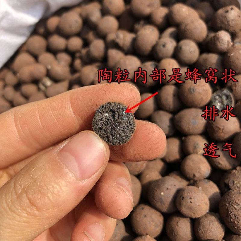 陶粒养花铺面陶粒球垫底园艺疏水透气营养土多肉颗粒土陶粒