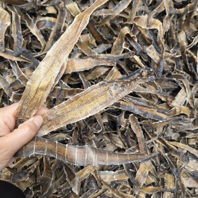 地龙全开广地龙实图拍摄今年新货颜色好看量大从优