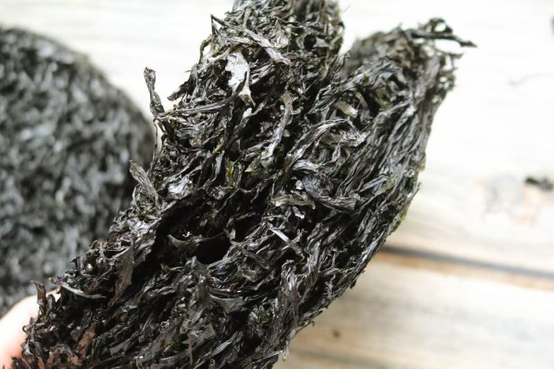 广州人大碗头水紫菜500g装食用方便营养丰富一件代发批发