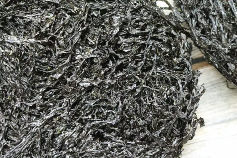 广州人大碗头水紫菜500g装食用方便营养丰富一件代发批发