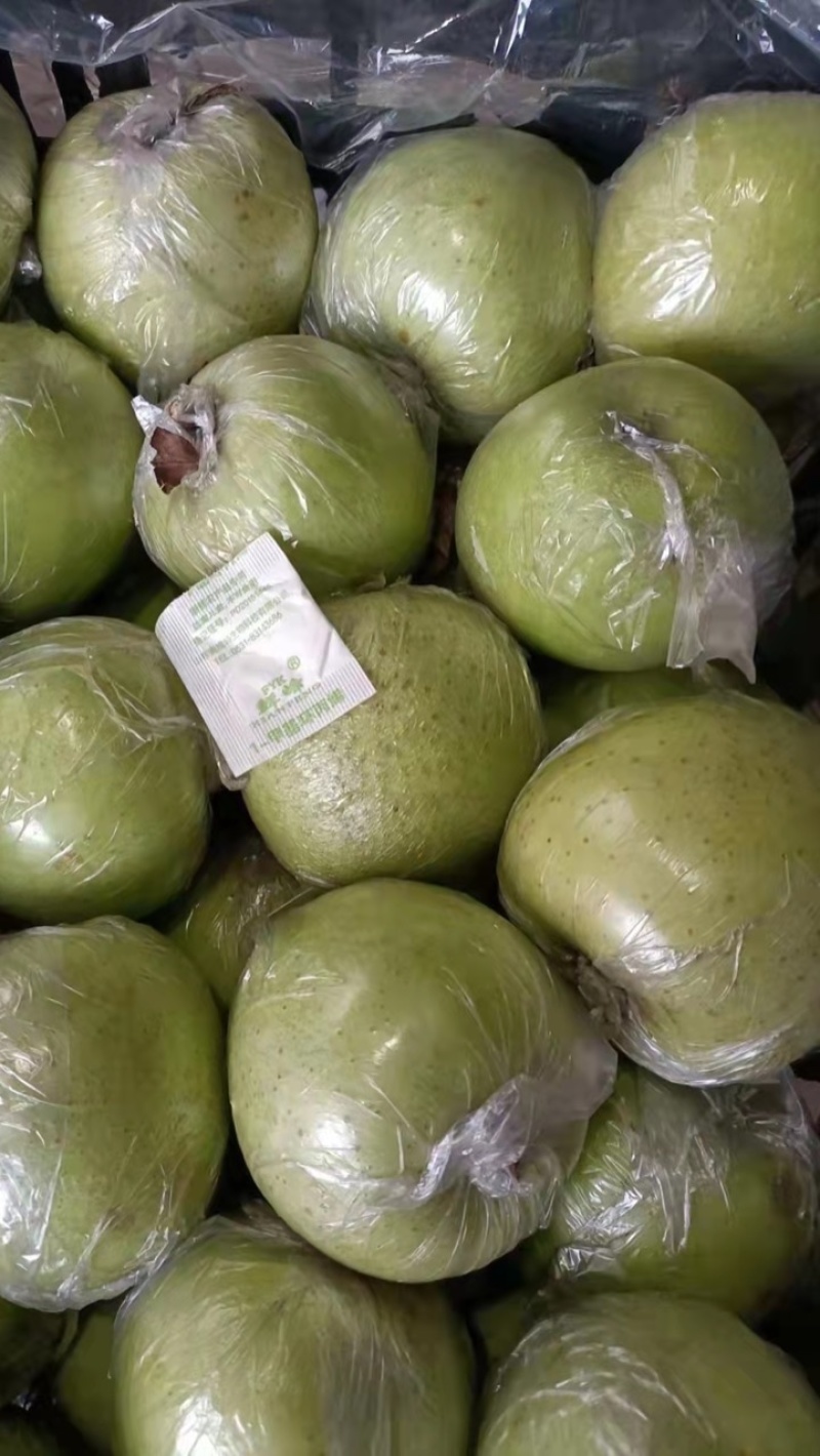 精品王林苹果膜袋王林日本进口青森纸袋红脸王林丑苹果