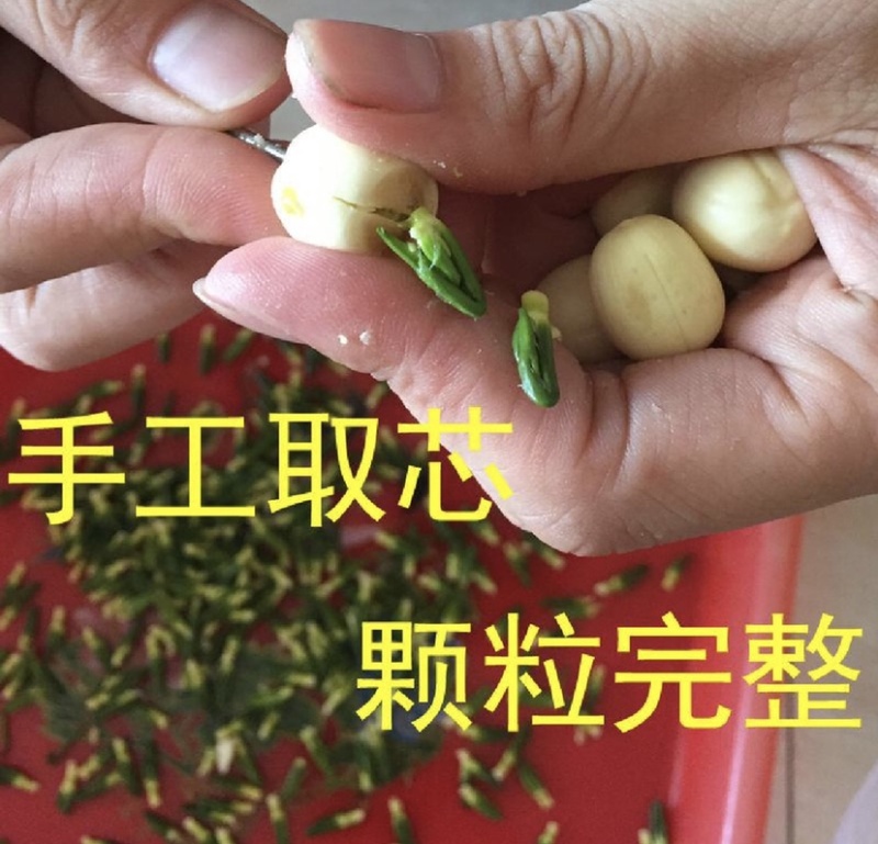 莲子芯手工莲子芯颜色漂亮干净无杂质量大从优