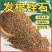 蛭石颗粒花用扦插月季养花孵化多肉育苗珍珠岩保水疏松透气