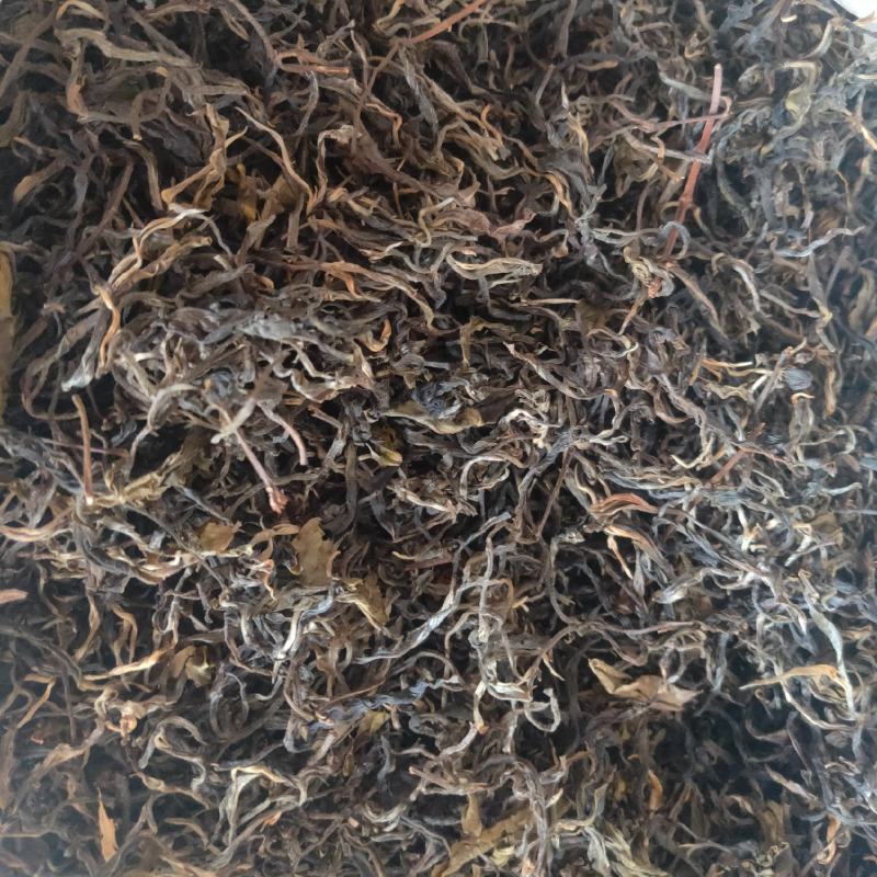 普洱乔木茶