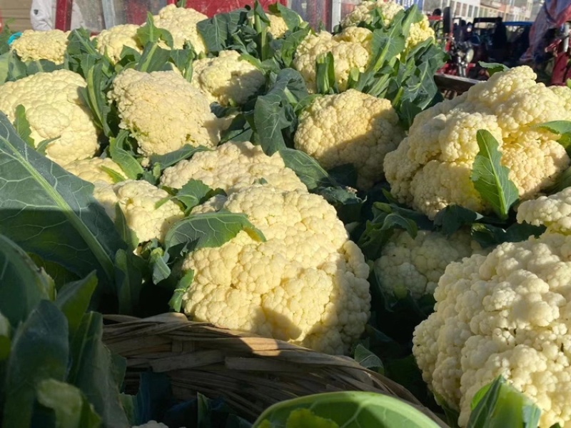 【有好货】山东基地直发精品有机花菜一手货源量大从优