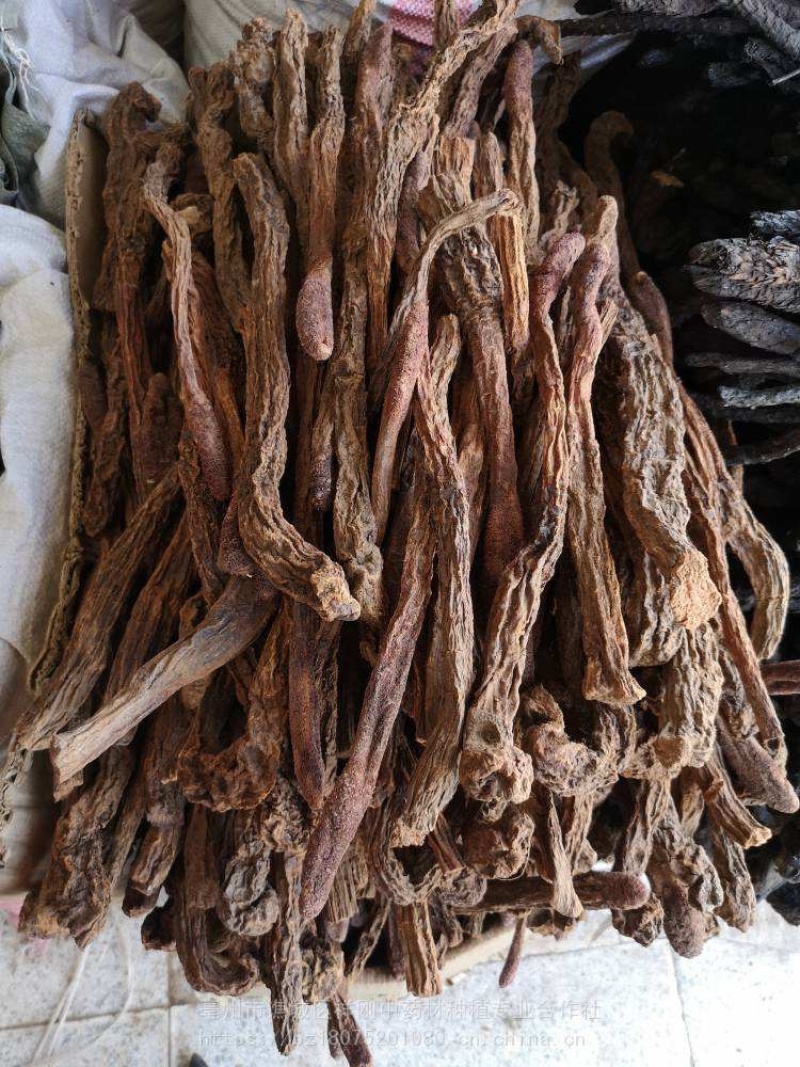 瓜州锁阳城精品锁阳，特此推荐全国各地老板欢迎选购