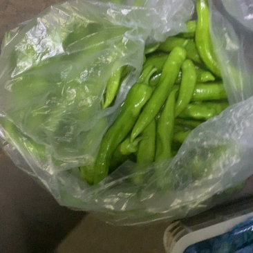 蔬菜