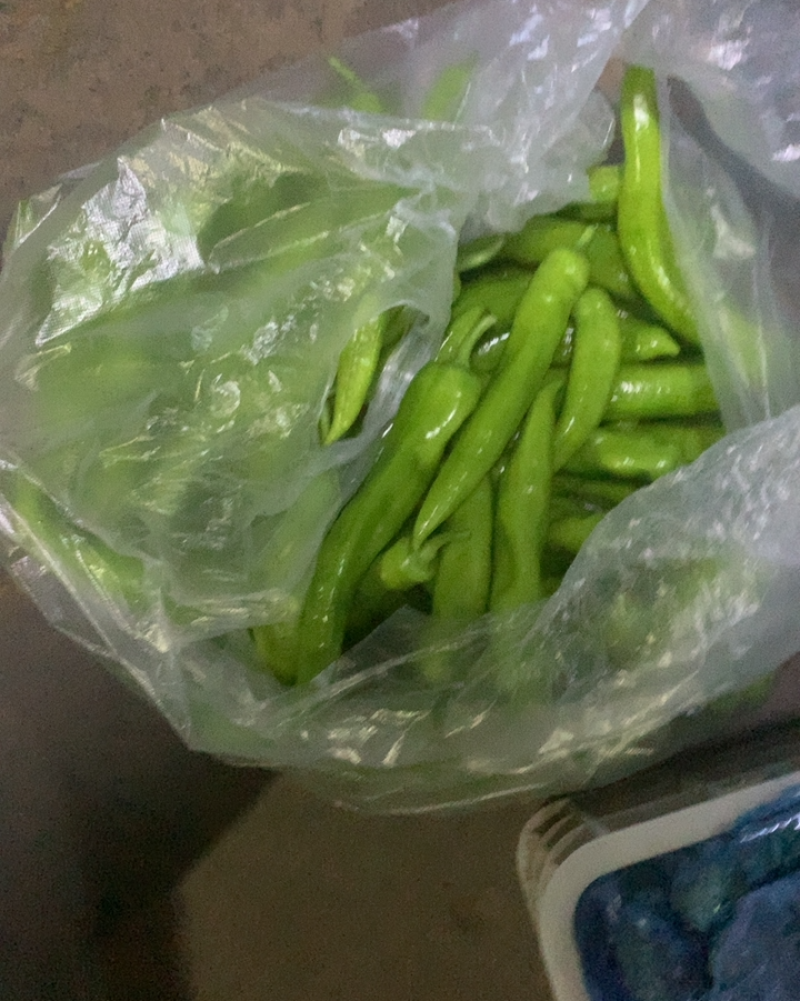 蔬菜