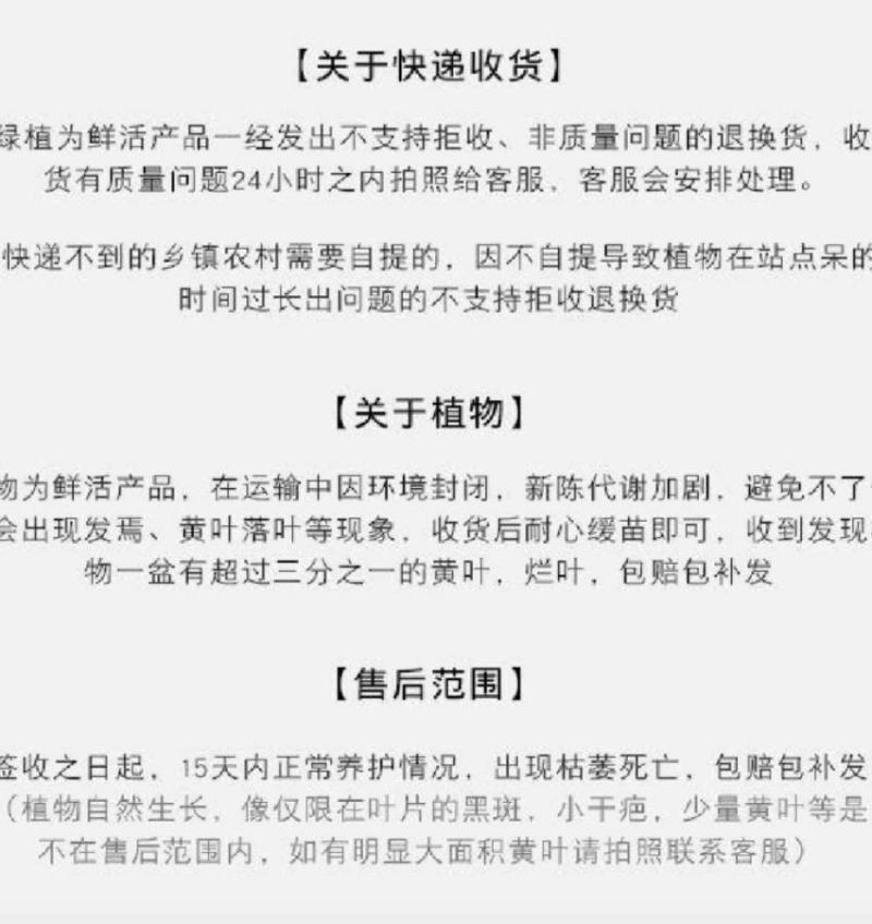 360红盆颜色好叶片大一手货源欢迎来电咨询