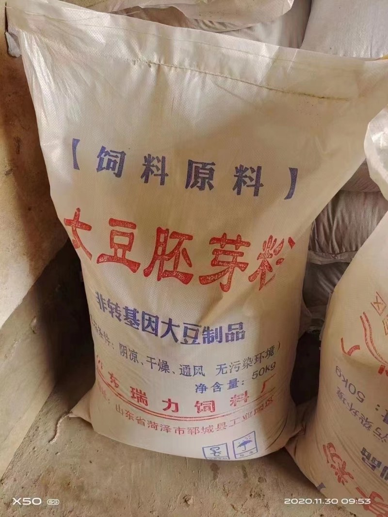 大豆胚芽粉蛋白45适合牛养猪鸡鸭鹅，大量现货